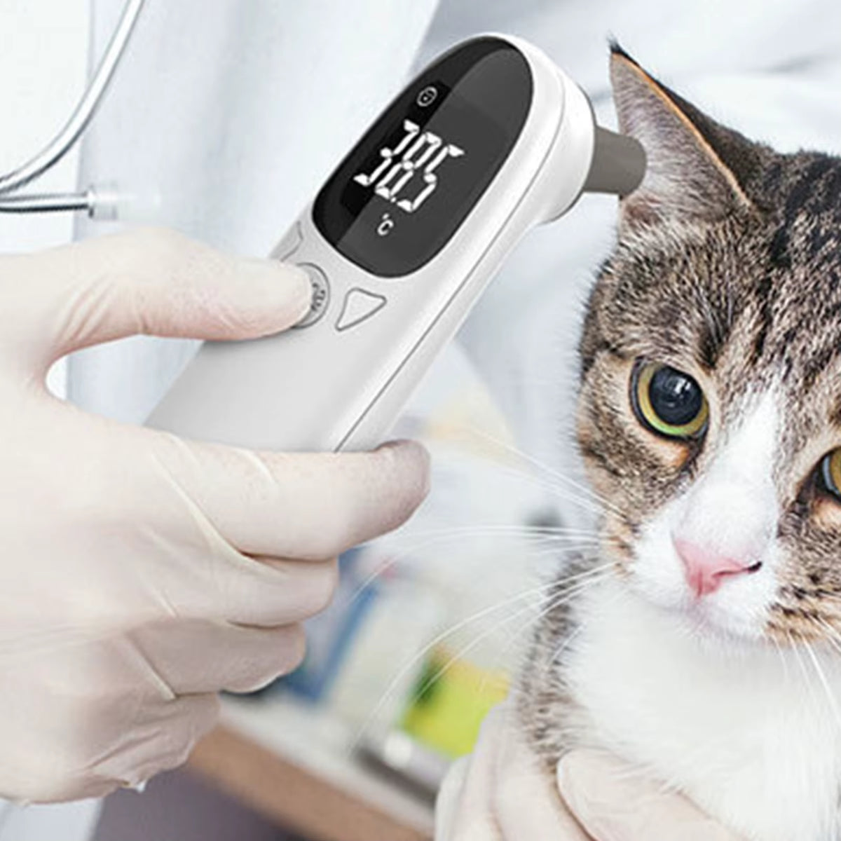 Cat Thermometers Ear Cat Dog Tech Supplies Puppy Thermometers Fever Detection Device for Pet High-Precision Accurate Led Display