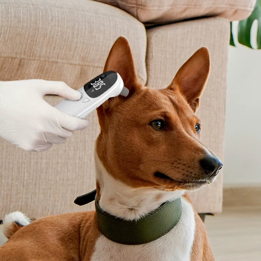Cat Thermometers Ear Cat Dog Tech Supplies Puppy Thermometers Fever Detection Device for Pet High-Precision Accurate Led Display