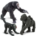 Primate Family Fun Pack